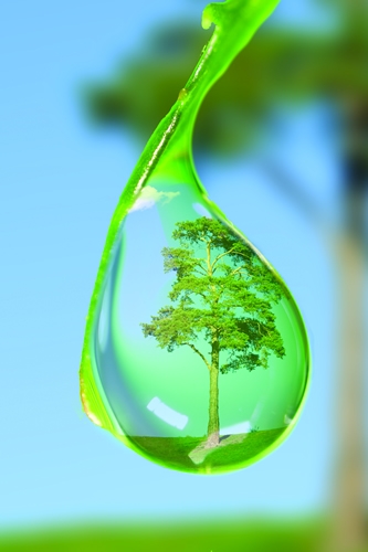 Jax Desentupidora - Foto 1